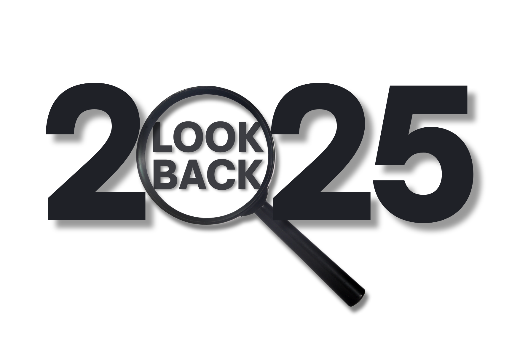 2025 look back